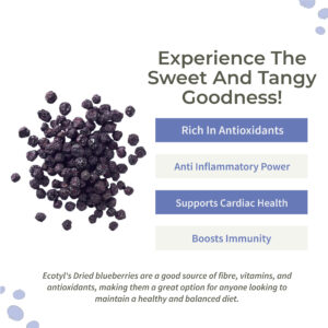 Ecotyl Dried Blueberries | Whole Dried Fruit | Healthy Snack | -150g
